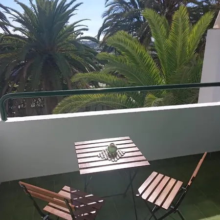 Surycan Tropical Garden * بلايا ديل إنغلز